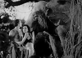 Tarzan l'uomo scimmia (1932).avi Dvd Rip Ita Images?q=tbn:ANd9GcR4iI5vPM1ZaQm5wh-loW9dbNjTE5WS5Lj9TqX-ZU_P2SB0loTq