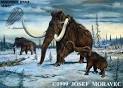 wooly mammoth, ice age animals