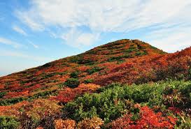 「秋の山」の画像検索結果