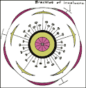 <b>Malvaceae</b>: