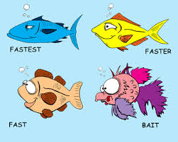 fast fish