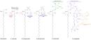 <b>Sphingolipid</b>