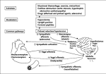 <b>Vasovagal Syncope</b>