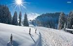 Sunny Winter - 1680x1050px HD Wallpaper #9293 ~ Wallpaperpin