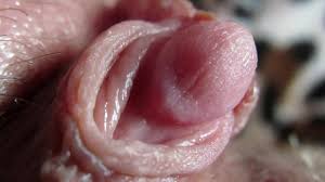 Extreme close up on huge clit head pulsating jpg 300x1280 Clit