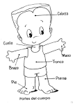 EL <b>CUERPO HUMANO</b>