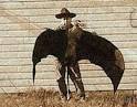 Strange Tales of Thunderbird Photos | Mysterious Universe
