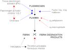 <b>Plasminogen</b> activator