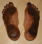 Real Hobbit Feet