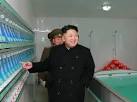 North Korea Calls Obama Monkey, Blames US for Shutting Down Its.