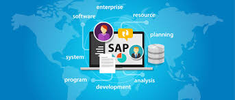 Image result for SAP MSAB