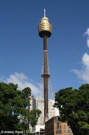 Image result for sydney tower