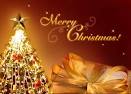Merry Christmas 2014 Greetings | Card Messages 2014 | Christmas.