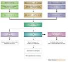 sepsis and <b>septic shock</b>