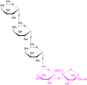 These <b>oligosaccharides</b> are