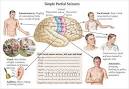 <b>Partial</b> Sensorial Seizures