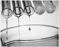 The Republic of <b>Viscosity</b>