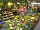 Garden Variety: Maryland Home, Garden and Living Show - Mid ...