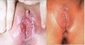 Eat the Cake! (warning:graphic images!) | What She Said
