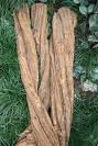 <b>Banisteriopsis</b> caapi- 1 kg