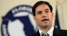 Poll: No dent in Marco Rubio's