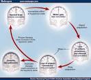 Effects of <b>hyponatremia</b> on the