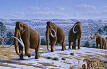 Woolly mammoth - Wikipedia