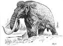 Woolly Mammoth - Mastodon - Crystalinks