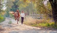 Klebendes Pferd: Trainingsplan für Pferde mit "Trennungsangst ...