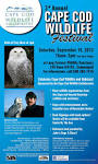 Cape Cod Wildlife Festival!