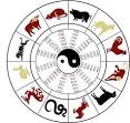 Chinese Astrology charts calculators animal signs four pillars of ...