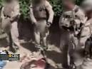 Vid shows Marines allegedly urinating on Taliban - CBS News Video