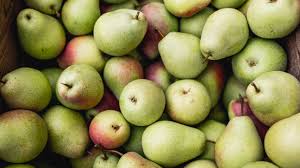 Pears fruit