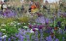 Finance blossoms at Chelsea Flower Show too - Telegraph