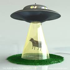 Cow abducted by aliens