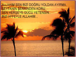 http://t0.gstatic.com/images?q=tbn:ANd9GcSHBo-cd5ZHRshLfAINzbezDc_1wZrGKqiMsiBFaGZZb1mb-yIF&t=1