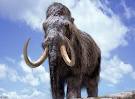 Cloning WOOLLY MAMMOTHs: Nothing Could Possibly Go Wrong - Technabob