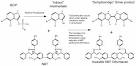 AS-MX and TR <b>phosphate</b>