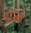 Tree House « The Tiny Life