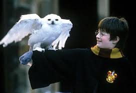Harry Potter, need ideas quick... Images?q=tbn:ANd9GcSTvEJTC3WZmocfNurPvzlJVzyyIl7YLktp2gAINCIaO7prdwc&t=1&usg=__GhL7V8VPkVUD0RhHlyx9skbj5EU=