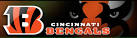 Fan Fun Page - Cincinnati BENGALS