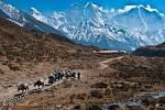 Your Nepal Travel Guide | Travel Blog