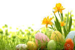 Easter 2015 Holiday Cottages | Wales Self Catering | School.