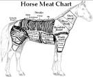 Food Safety - Stop Horse Slaughter for Human Consumption in the USA