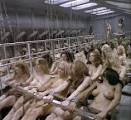 Naked Chained Female Galley Slaves – Bondage Blog