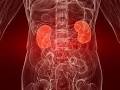 The Nephrotic Syndrome : A Disease Of Central Or Renal Origin ...