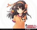 The Melancholy of Haruhi Suzumiya - The Melancholy of Haruhi ...