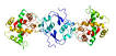 <b>Osteonectina</b>