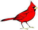 cardinal pronunciation