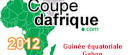 Le Gabon est-il prêt pour organiser la CAN 2012 ? | The Observers